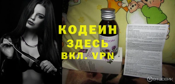 соль ск Новозыбков
