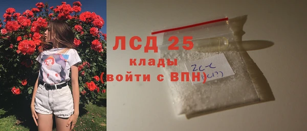 соль ск Новозыбков