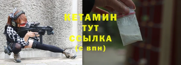 соль ск Новозыбков