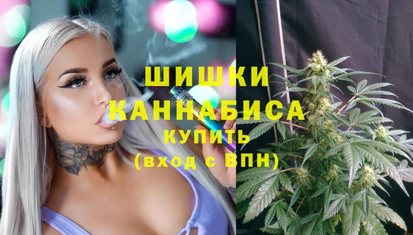 МДПВ Новокубанск