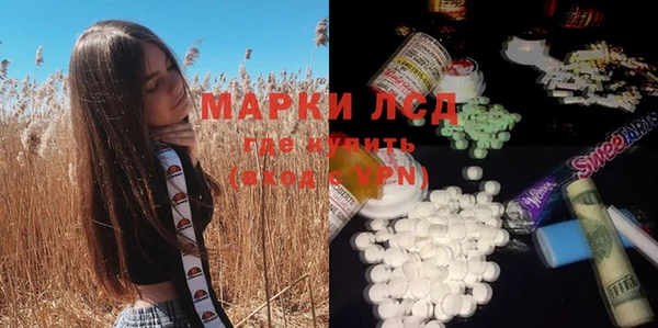 соль ск Новозыбков