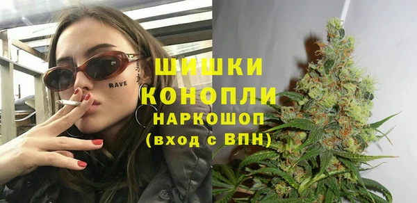 соль ск Новозыбков