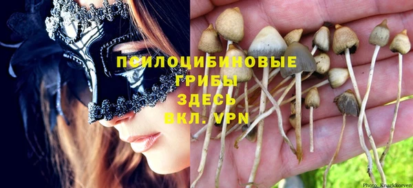 кокс Новодвинск