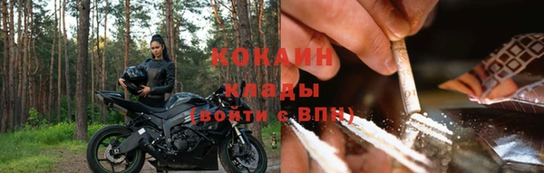 соль ск Новозыбков