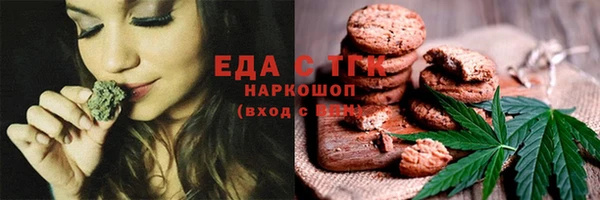 соль ск Новозыбков