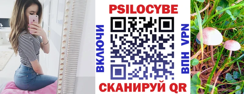 Галлюциногенные грибы мицелий  darknet состав  Порхов 